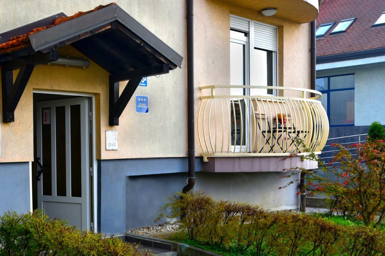 Апартаменты Studio Apartman D Сесвете Экстерьер фото